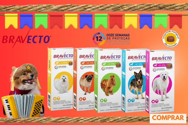 bravecto arraia 26